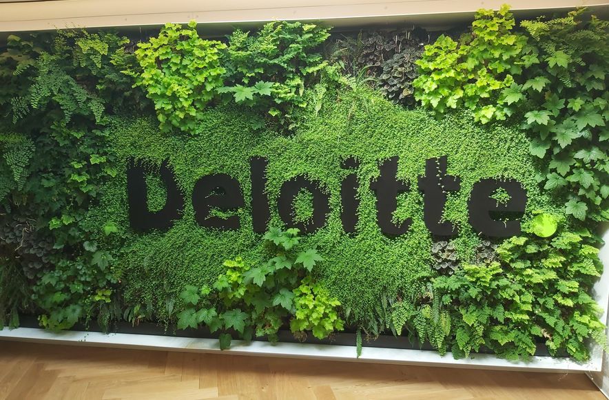 Deloitte Green Wall, Dunedin