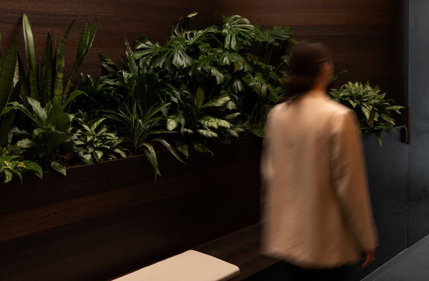 Pacifica Commercial Suites