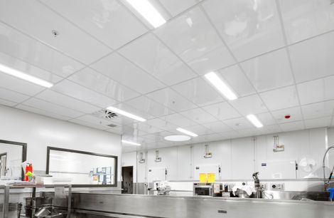 Fenta commercial kitchen ceiling tiles: for high performance