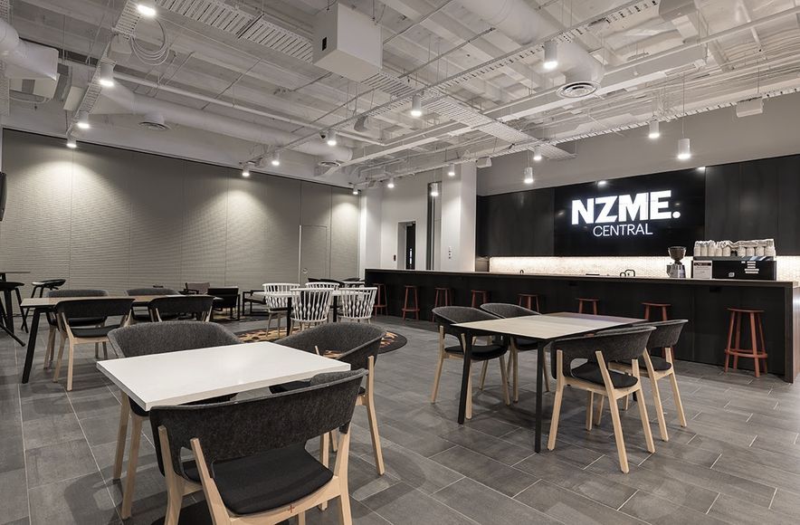 NZME SpaceSeal 501