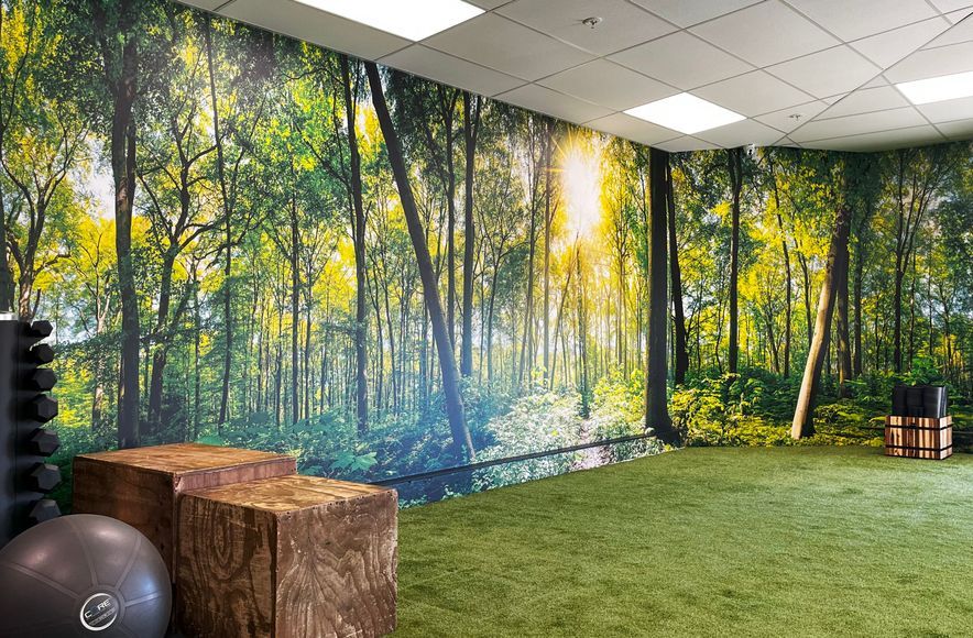 24/7 Fitness – Biophilic Design for Wellness