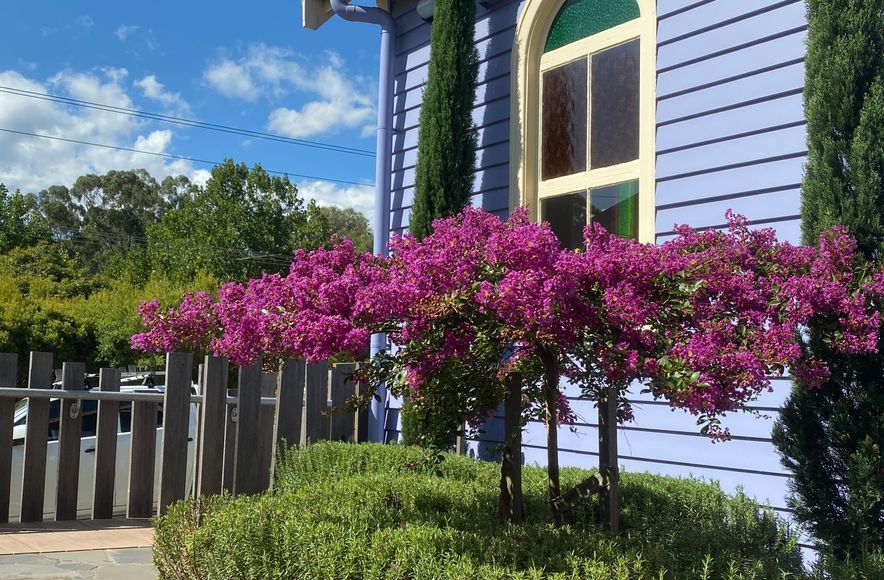 The Purple Church' Commercial Project - Yarra Valley