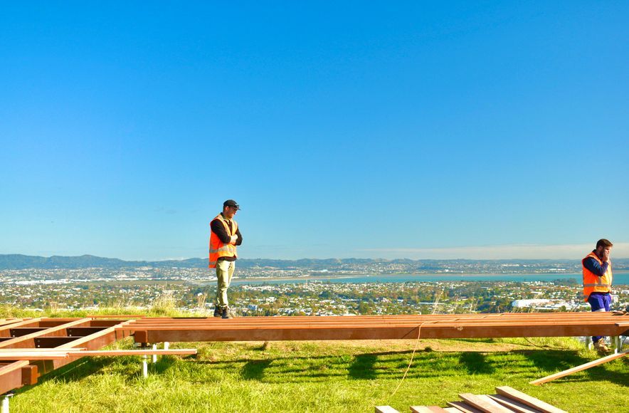 Maungawhau / Mt Eden Boardwalk