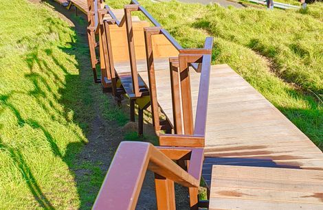 Maungawhau / Mt Eden Boardwalk