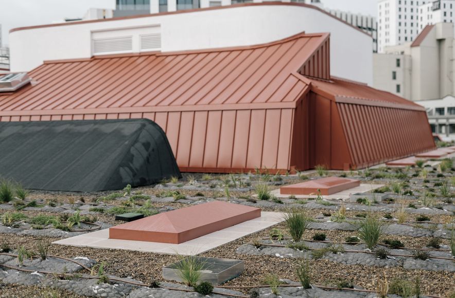 Auckland City Library Green Roof