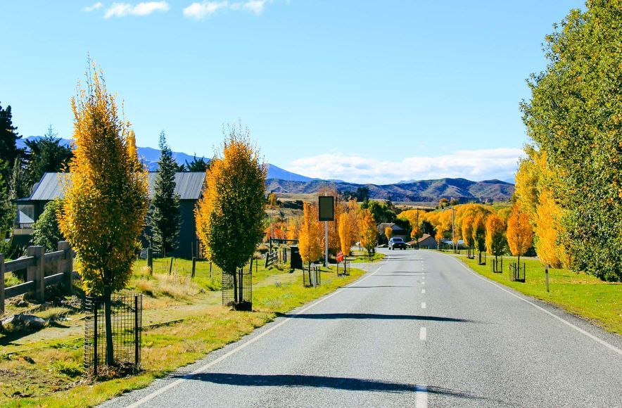 Cardrona Station