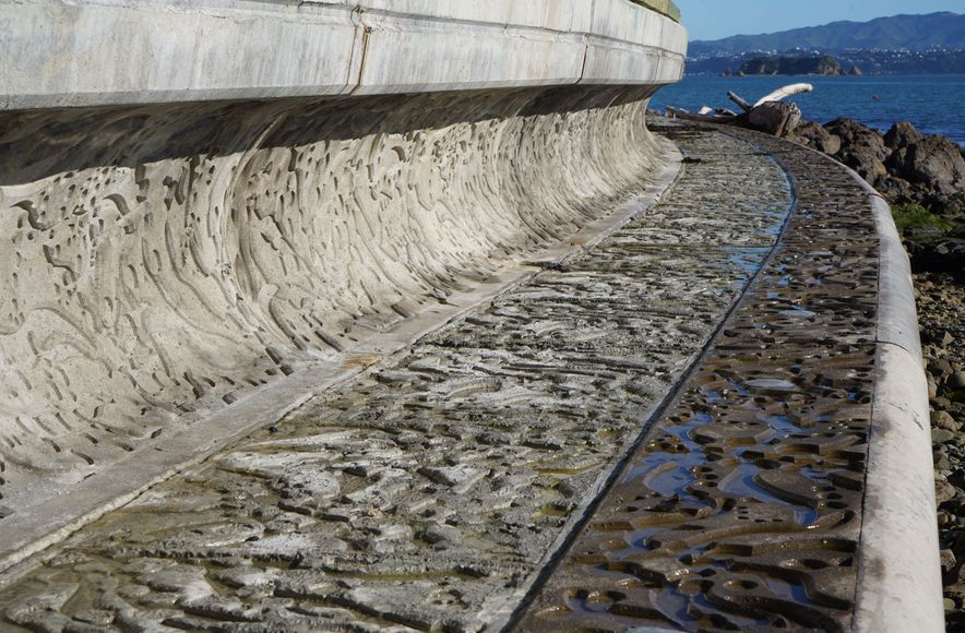 Bespoke Seawall Units for Tupua Horo Nuku