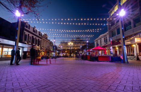 Nelson City Catenary Lights