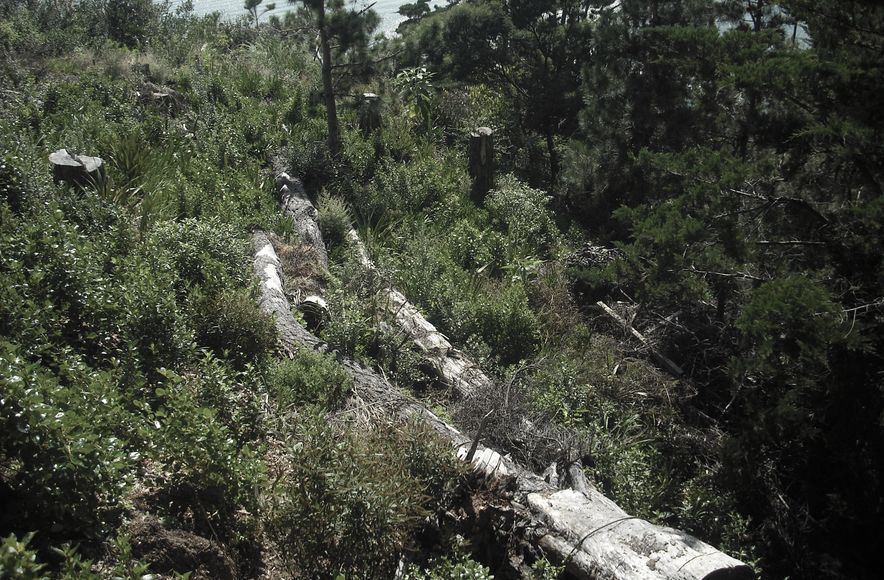 Environmental