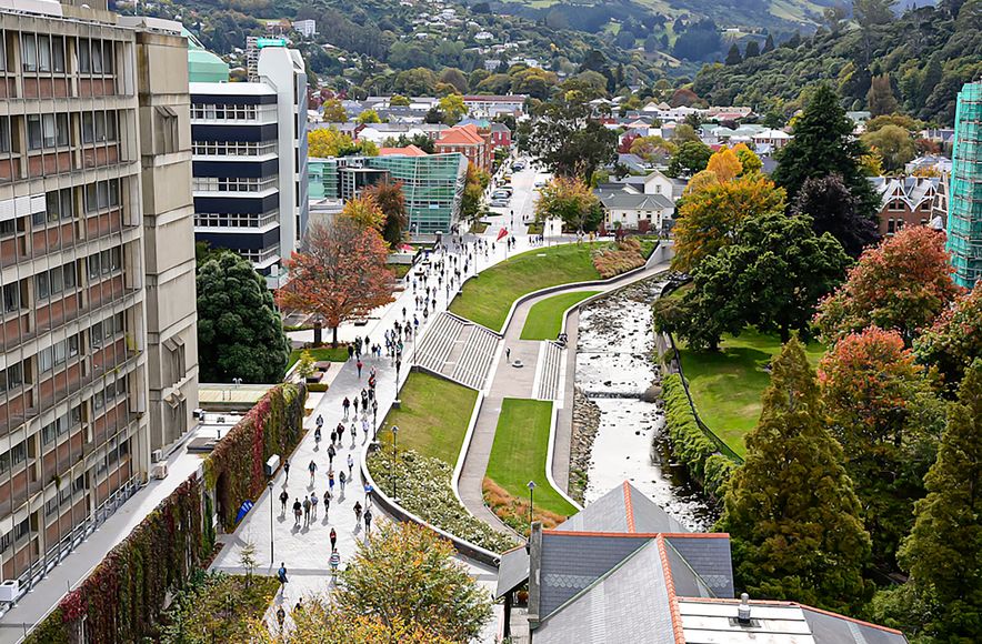 Central Campus Landscape Improvements
