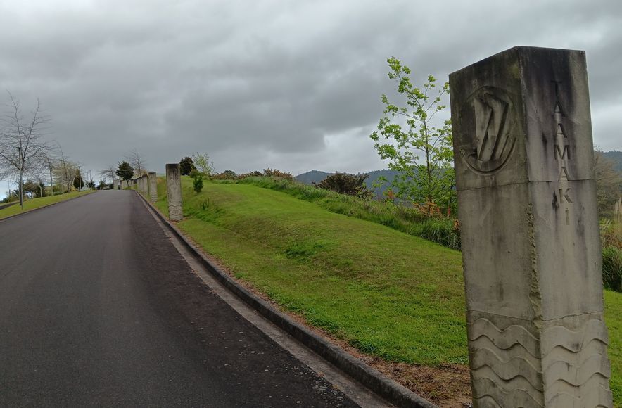 Hinuera Carvings for Waikato Tainui