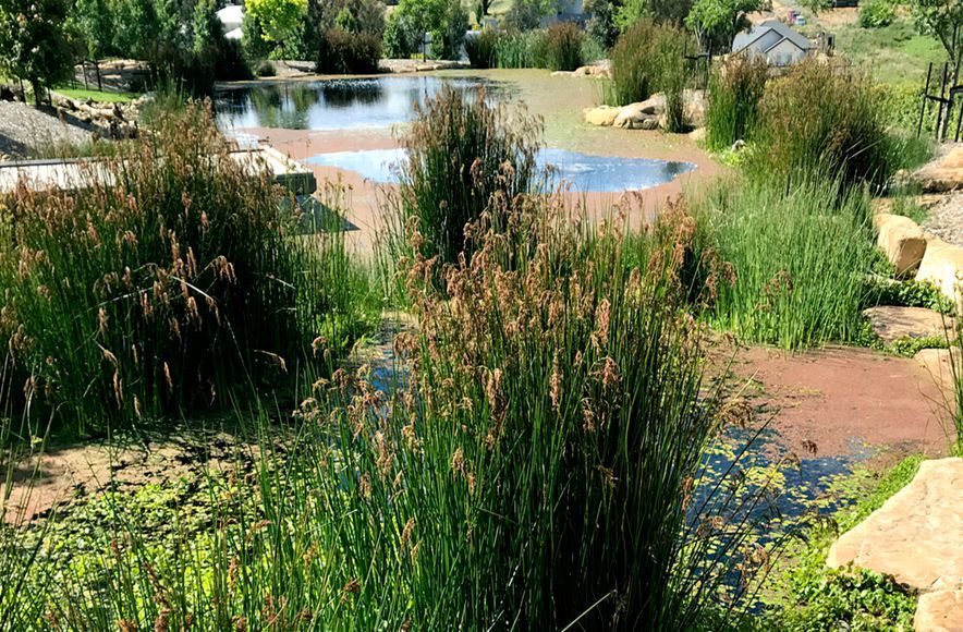 Plenty Valley