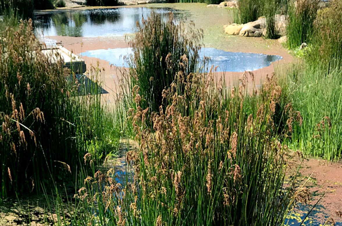 Plenty Valley