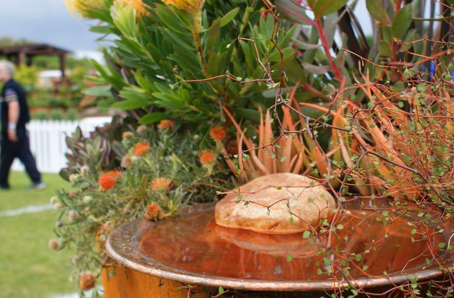 Flower & Garden Show