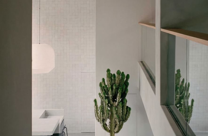 Armadillo & Co. Showroom