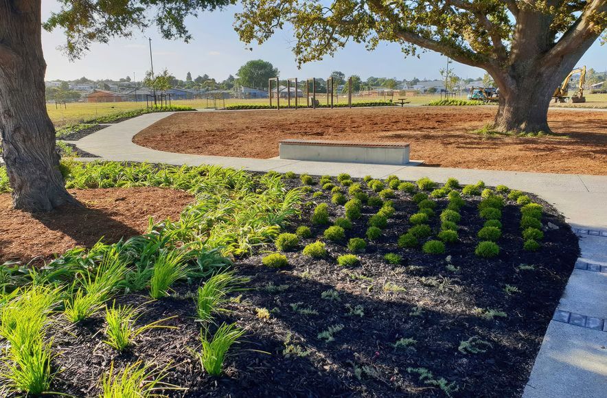 Waiata Shores landscaping and construction