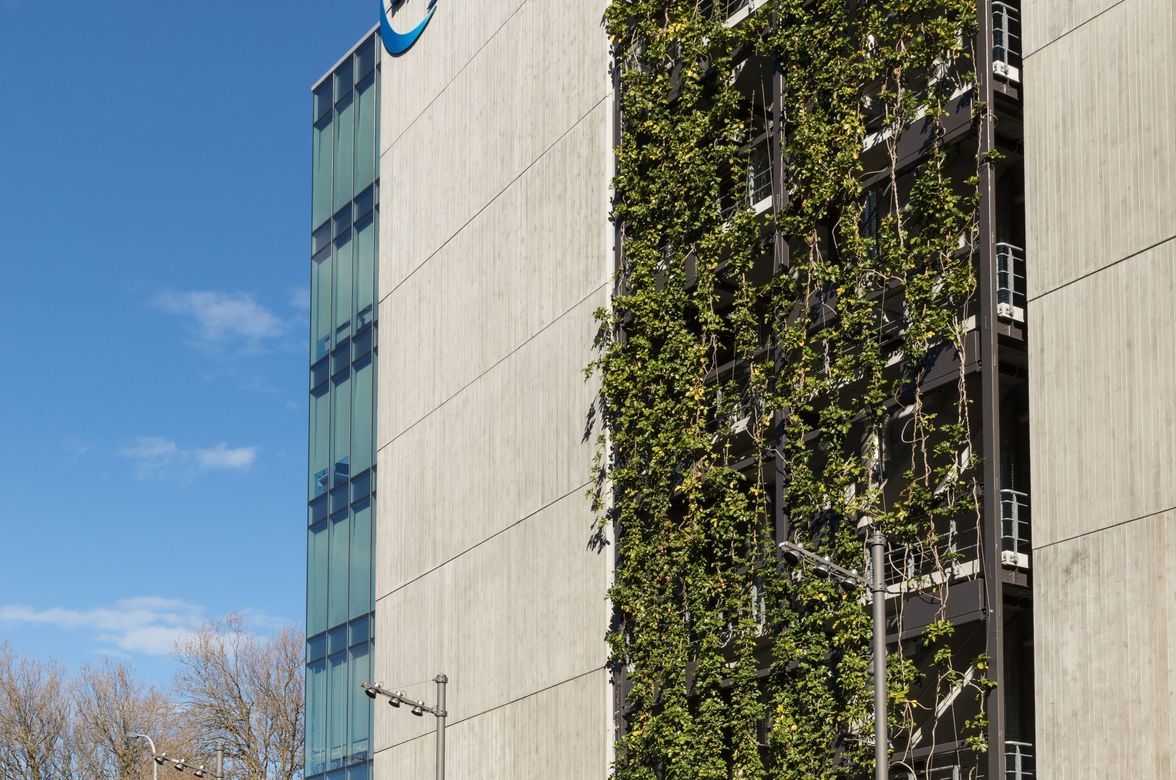 Fonterra - foliage growing wires and planter boxes 
