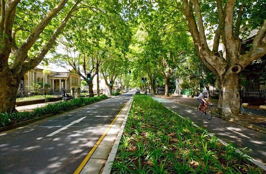 Bourke Street Cycleway