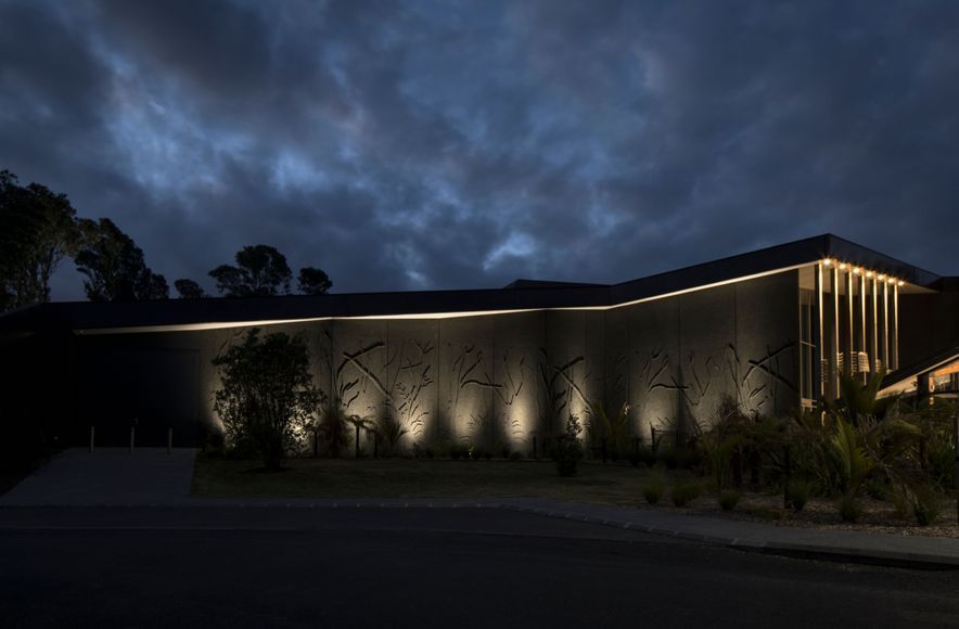 Te Kōngahu - Waitangi