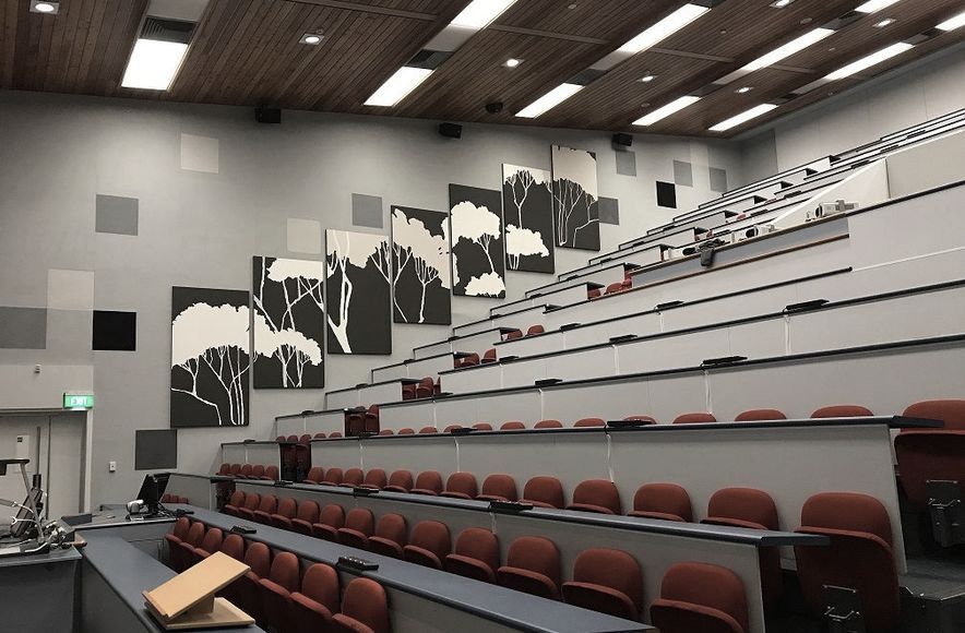 University of Waikato