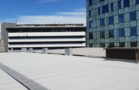 Waipapa - Christchurch Hospital