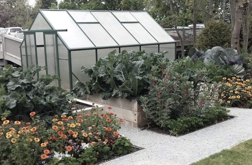 Mercy Hospital Productive Gardens