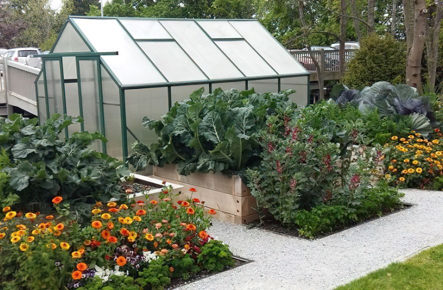 Mercy Hospital Productive Gardens