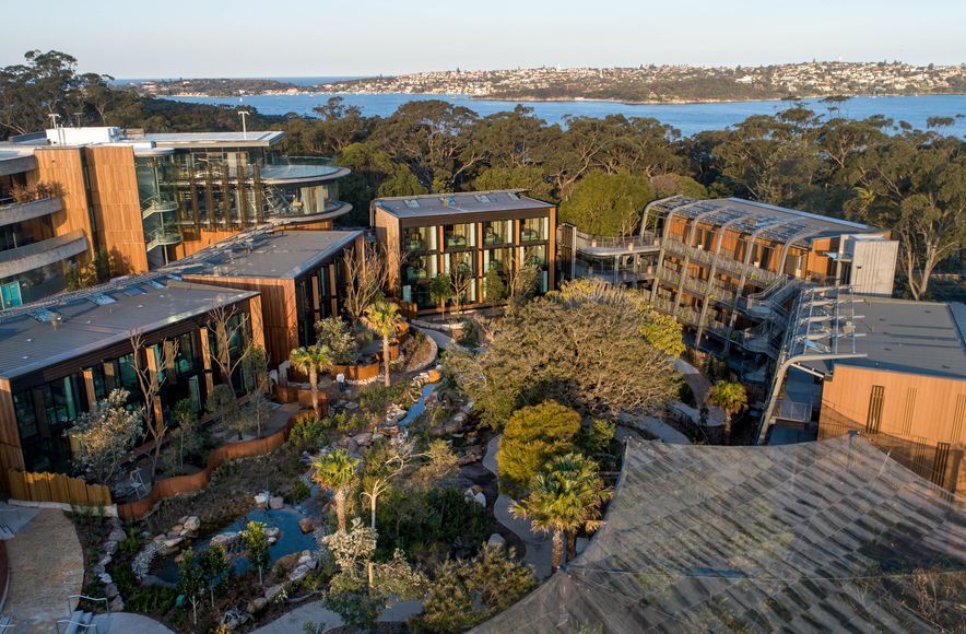 Room with a View at Taronga