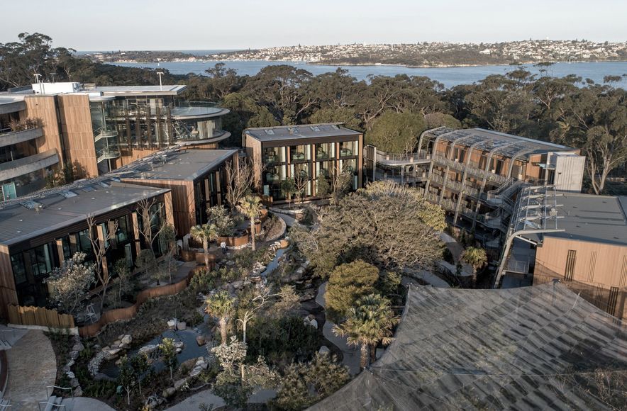 Room with a View at Taronga