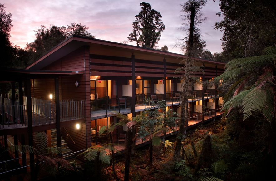 Te Waonui Forest Retreat