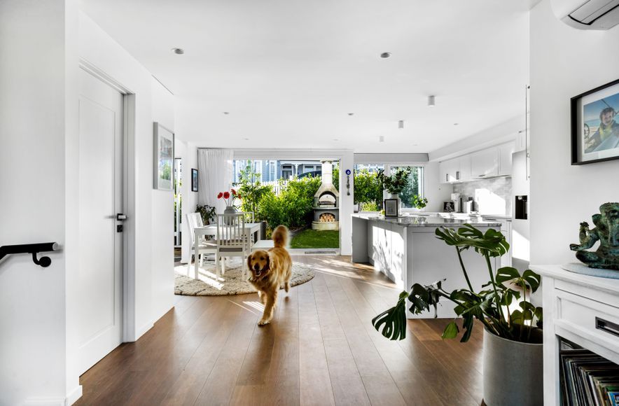 Stylish Ponsonby Renovation