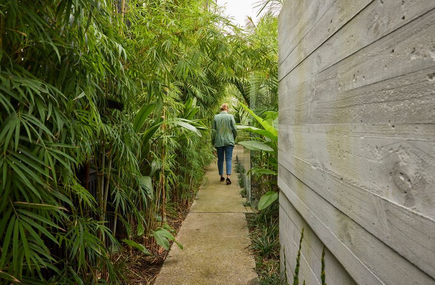 Garden of Mt Eden