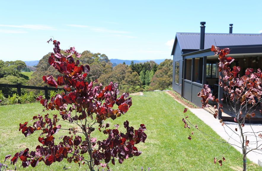 Clevedon - New Build
