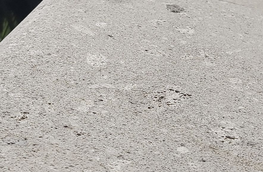 Hinuera Stone Restoration and Protection Application