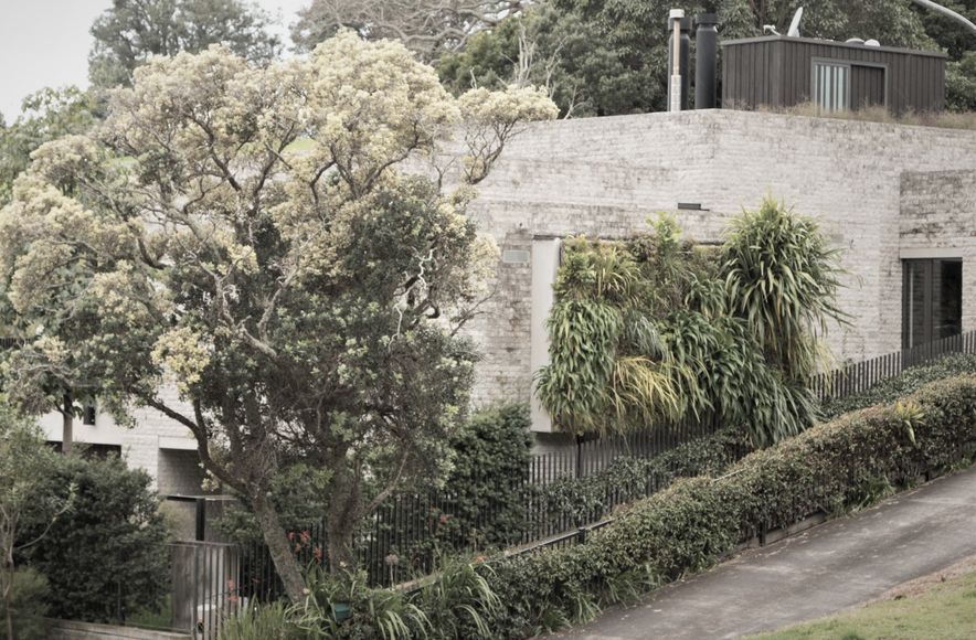 Parnell Home Green Wall