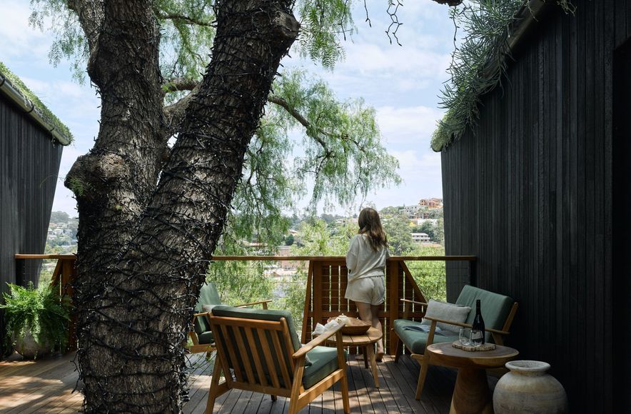 Pepper Tree Passive House