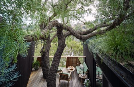 Pepper Tree Passive House