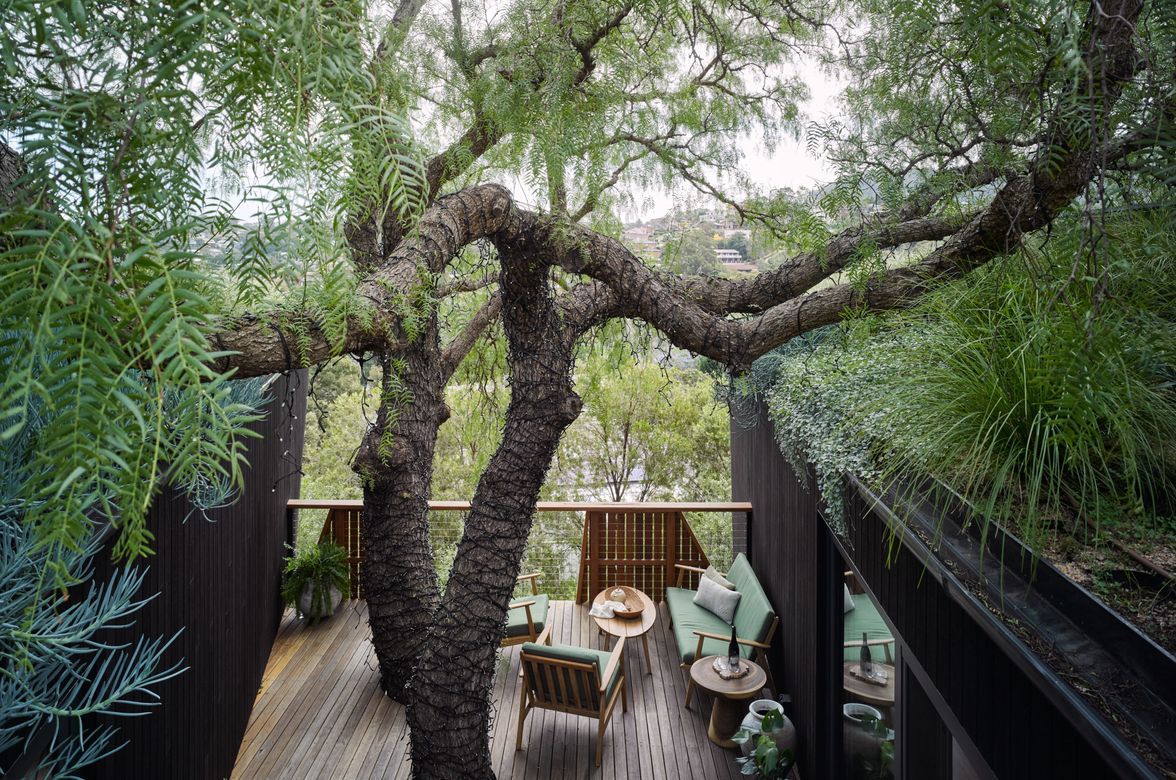 Pepper Tree Passive House