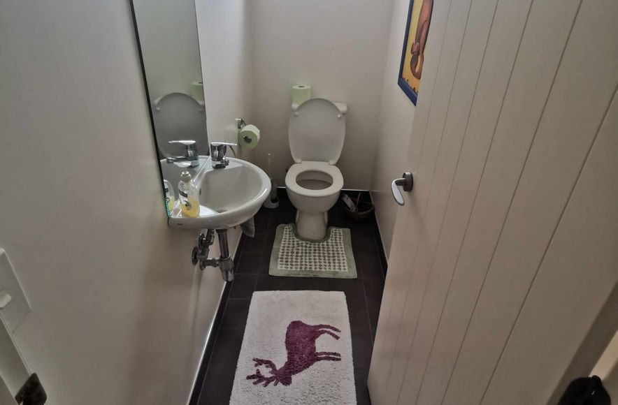 Elegant Renovation: Main Bathroom & Ensuite Makeover