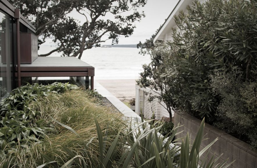 Takapuna Coastal Cocoon