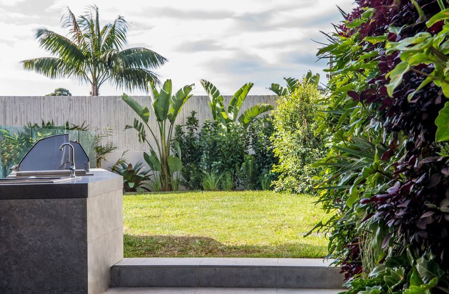Drummoyne Garden Living
