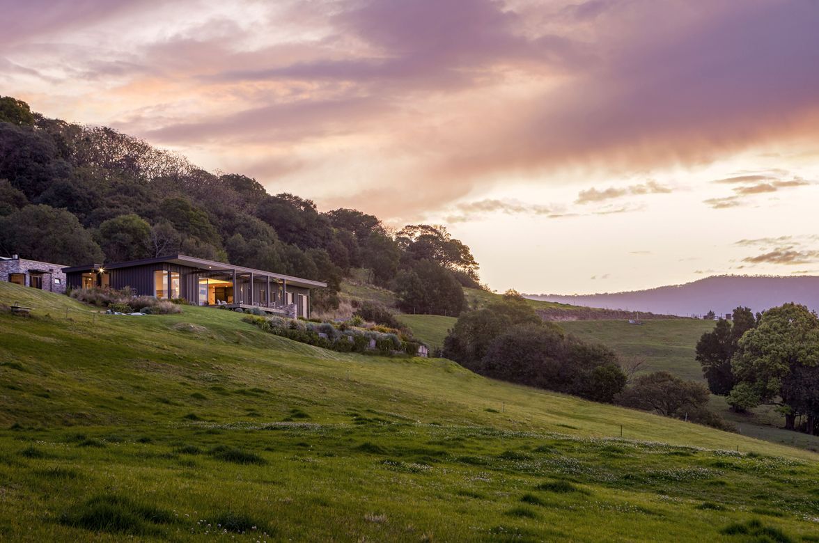 Little Wren Farm