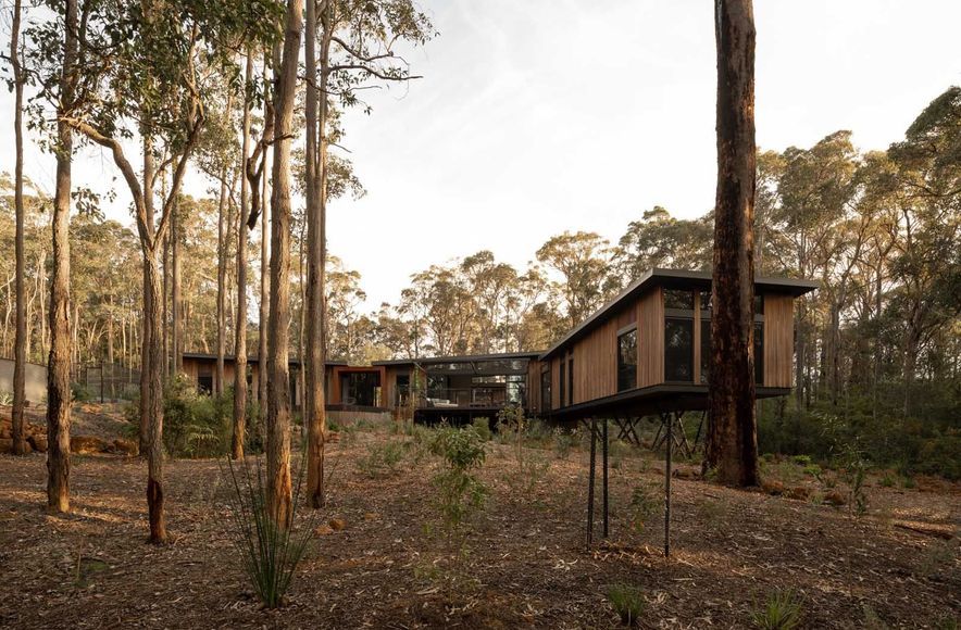 Treehouse Margaret River