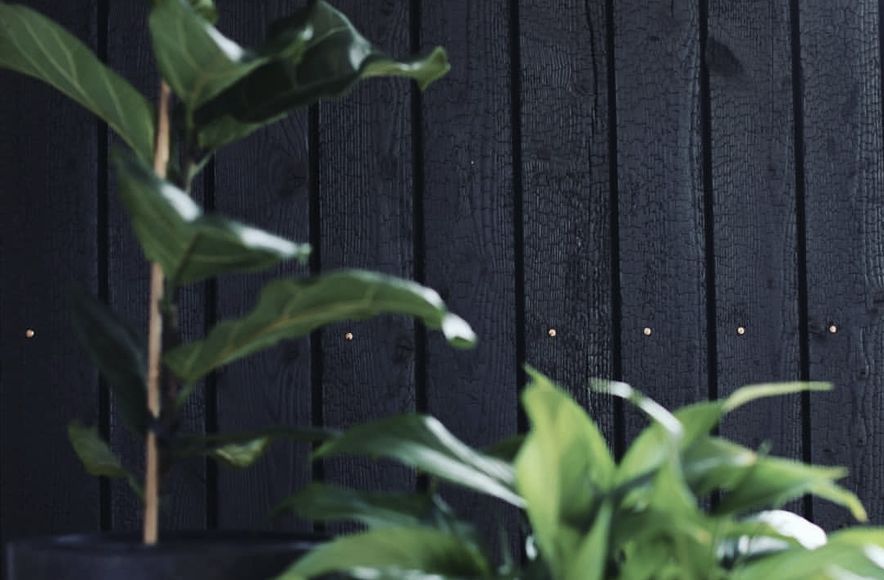 Interior Feature Wall