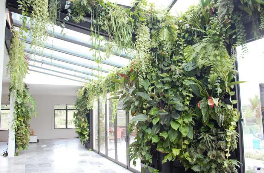 Private Home - Live Plant Wall Installation