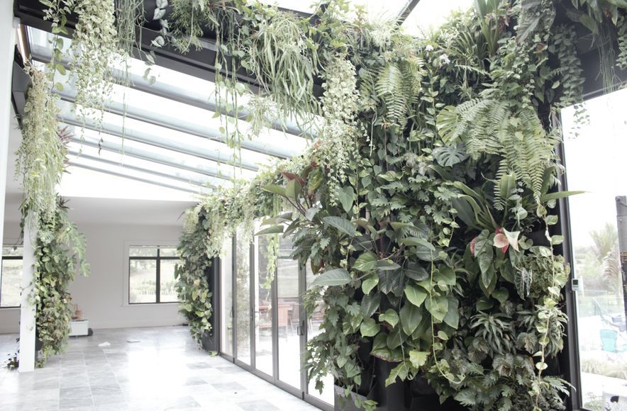 Private Home - Live Plant Wall Installation
