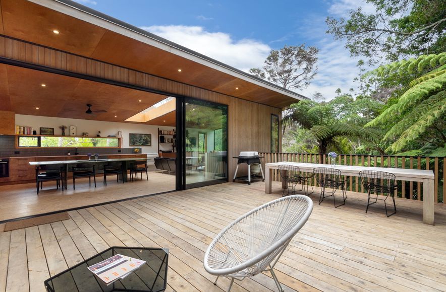 Kauri