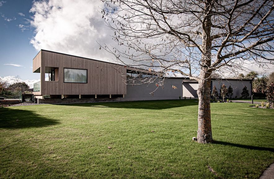 Peek of Curiosity | Martinborough Estate