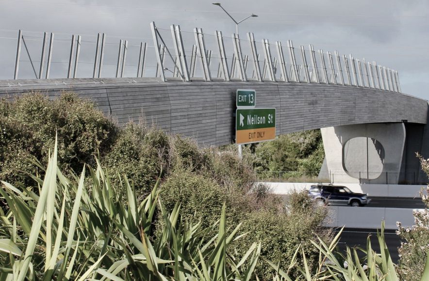 Taumanu Reserve Bridge - anti-throw mesh screens