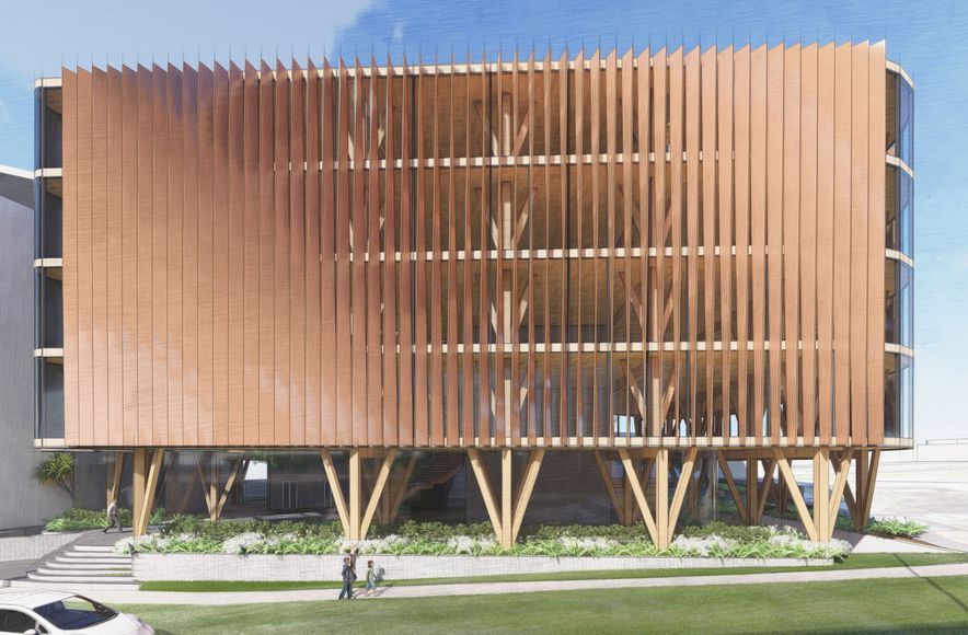 Biophilic Offices
